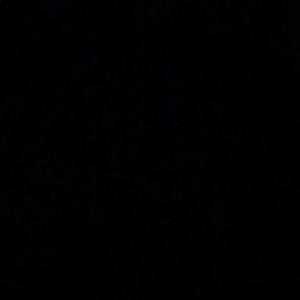 Meet your Posher, Evan